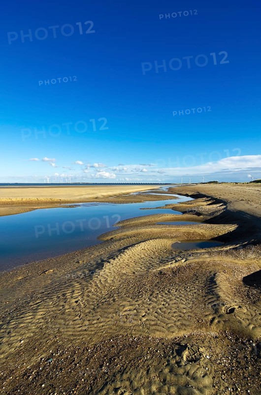 Landscape with dunes in the Deltapark region