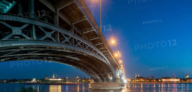 Theodor Heuss Bridge