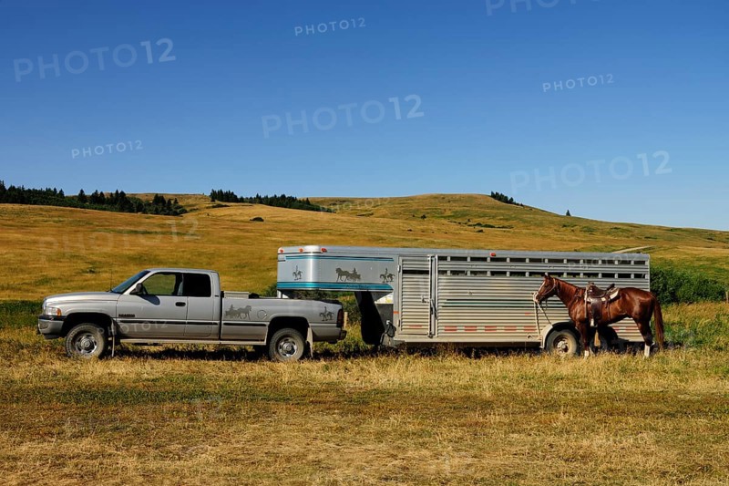 Horse standing tied to a horsebox transporter on the prairie