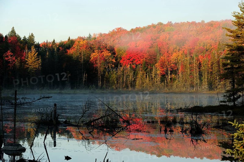Early morning mist rising from a small pond above a colourful autumnal forest