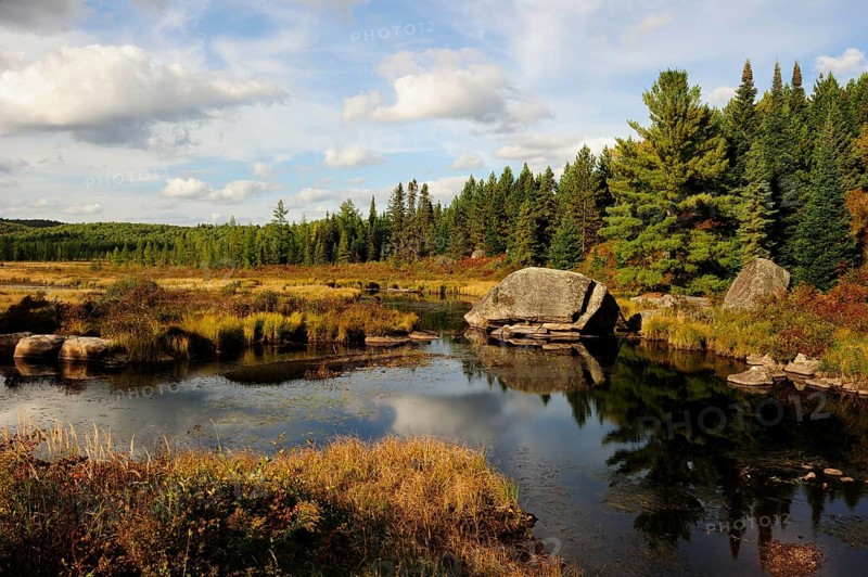 Typical moorlands of the Canadian Shield or Laurentian Plateau with ponds and coniferous forests