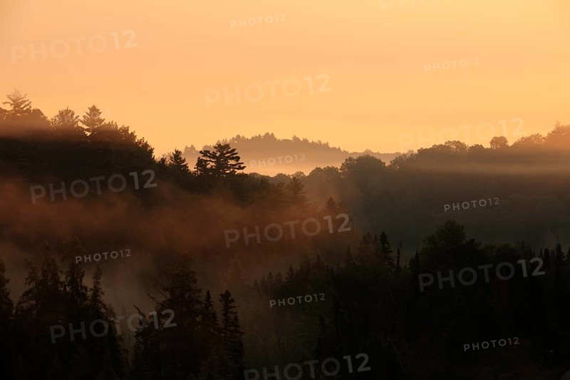 Sunrise over a forest
