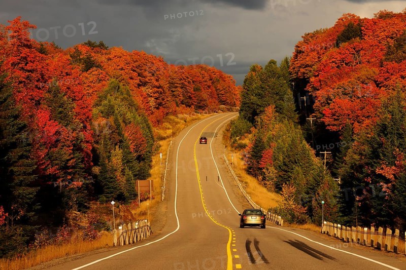 Road through the colourful autumnal Canadian forest