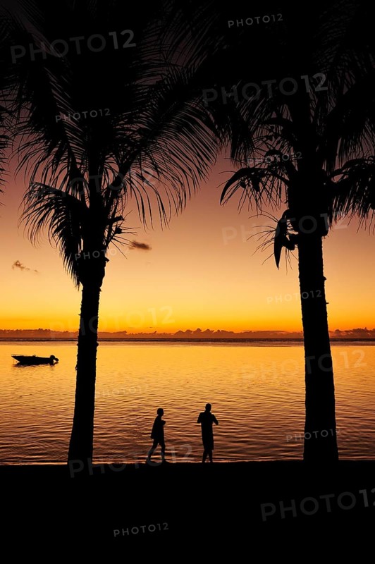 Sunset at Le Morne Beach with palm trees