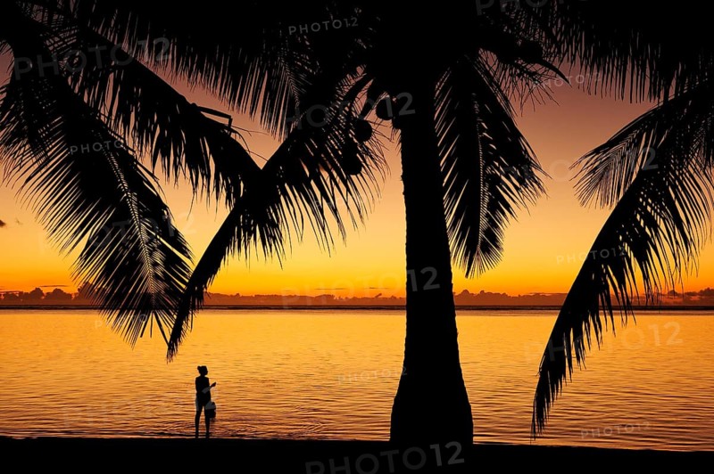 Sunset at Le Morne Beach with palm trees