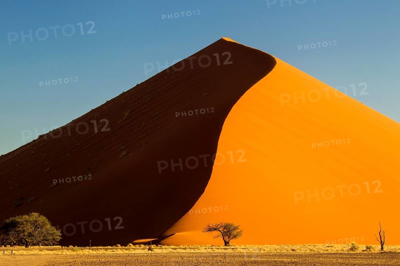 Sand dune 45