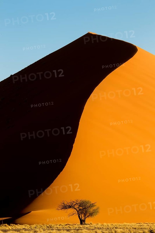 Sand dune 45