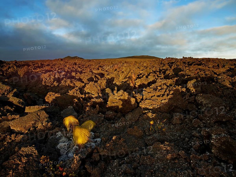 Lava rocks in the last evening light