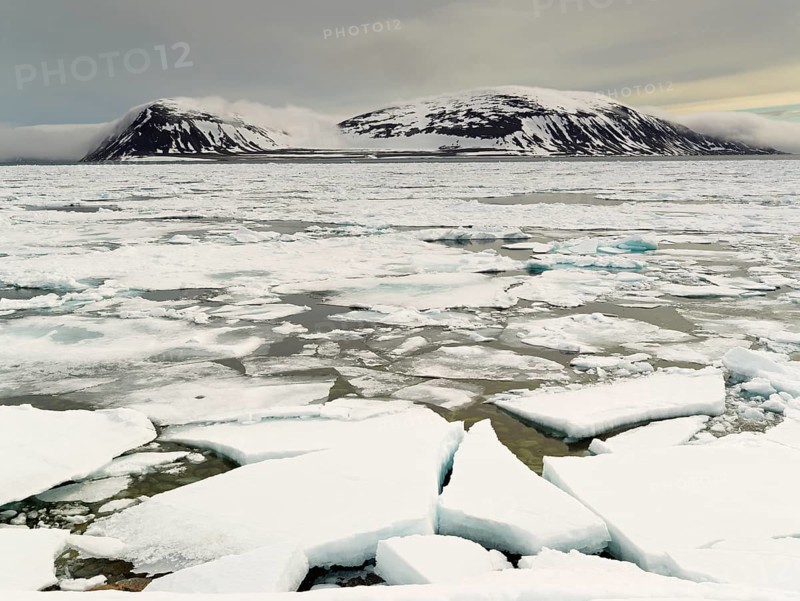 Fjord with pack ice