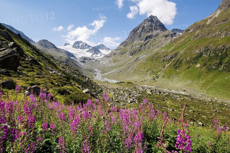 Jamtal Valley