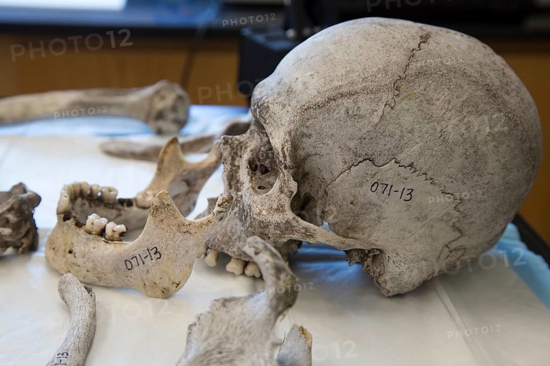 Remains of unidentified migrants
