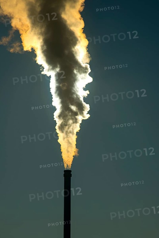 Smoking chimney of a modern biomass-fired power station