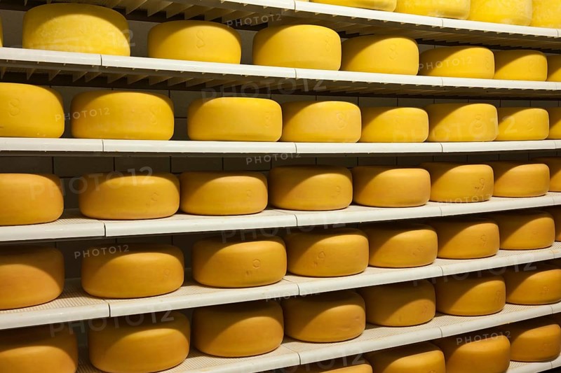 Cheese wheels