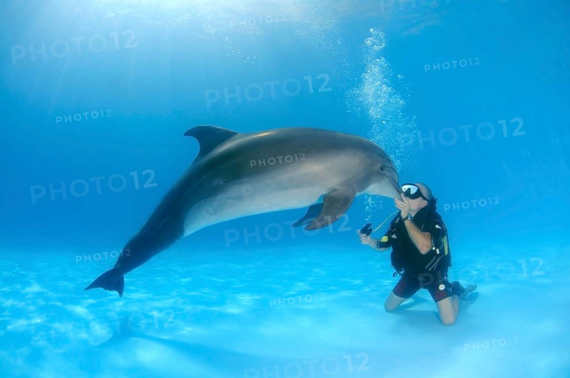 Scuba diver and a Bottlenose Dolphin (Tursiops truncatus)