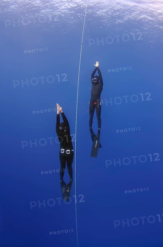 Freedivers