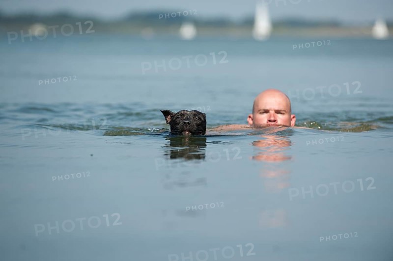 A man and a dog swimming in a lake