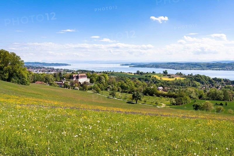 Schloss Spetzgart Castle above Ueberlingen with Lake Constance and the Alps