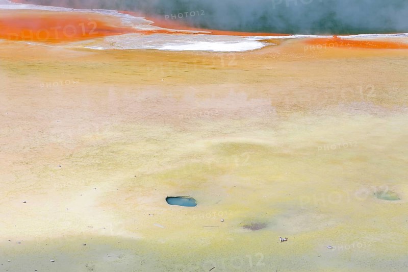 Artist's Palette