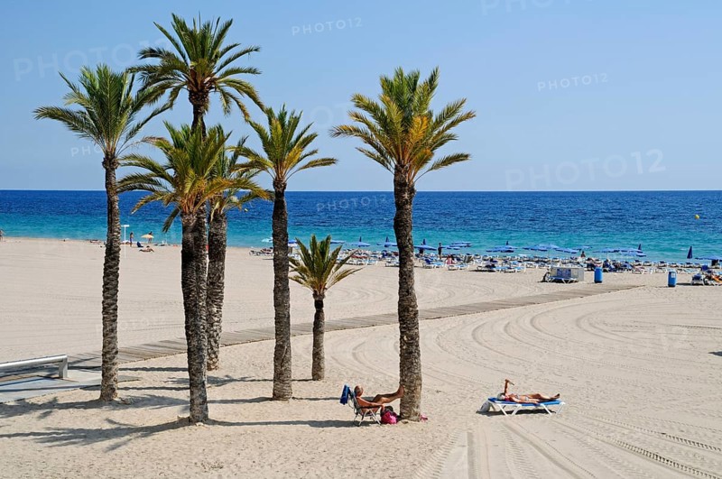 Palm trees on Playa de Poniente beach