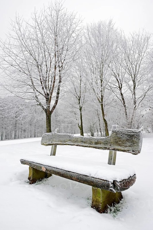 Bench in the snow