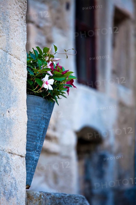 Pot flowers outside a house