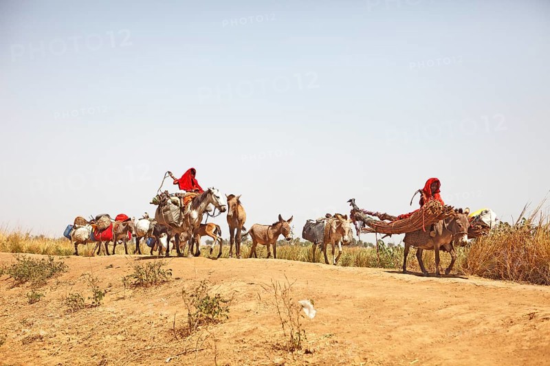 Choa nomads with donkeys and horses at Maga Dam