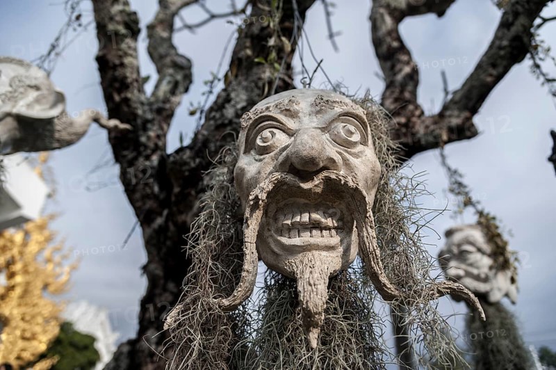 A mask hanging on a tree