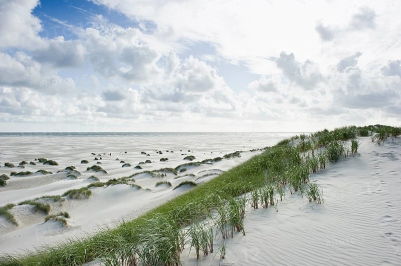 Dunes and a white sandy beach
