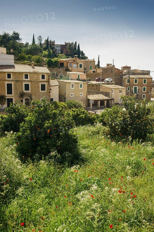 Village and a flower meadow