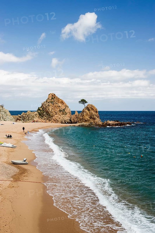 Sandy beach with rocks and solitary tree