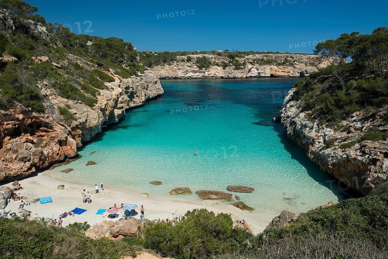 Bay with a sandy beach and pine trees
