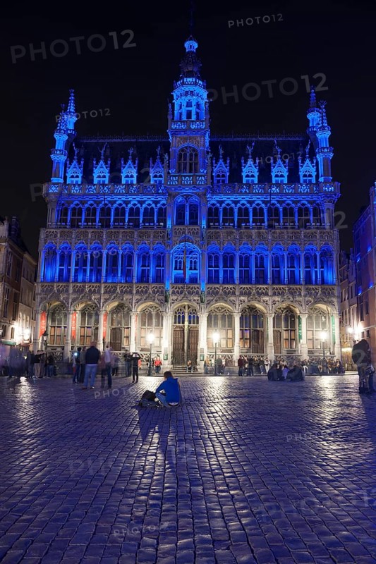 Royal House or Maison du Roi