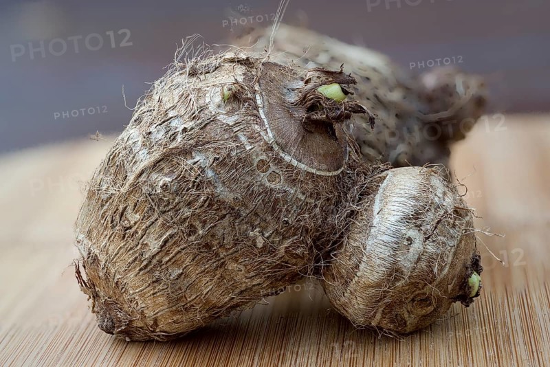 Taro or Eddoe corm (Colocasia esculenta)