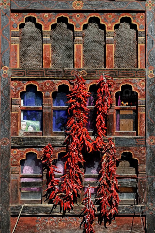 Chili peppers on a window