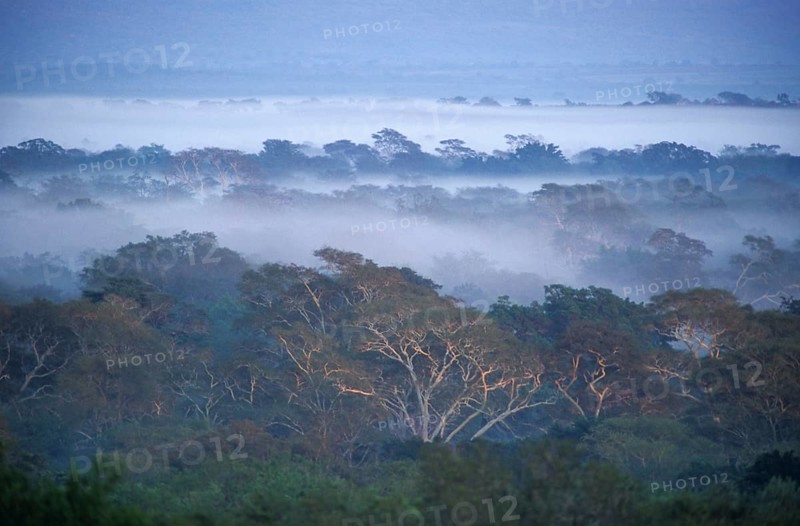 River landscape in the southern Kruger National Park
