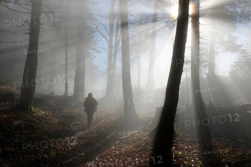 Female hiker hiking in foggy forest at the Saloberalpe