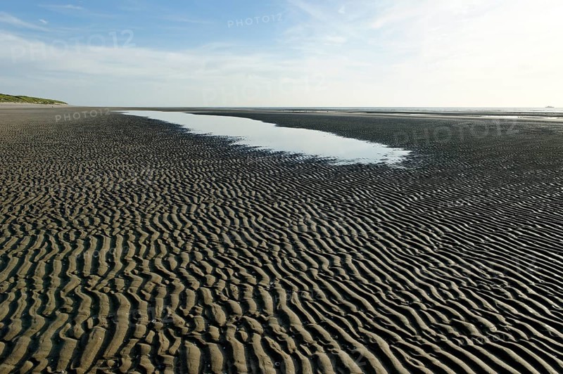 Beach at low tide