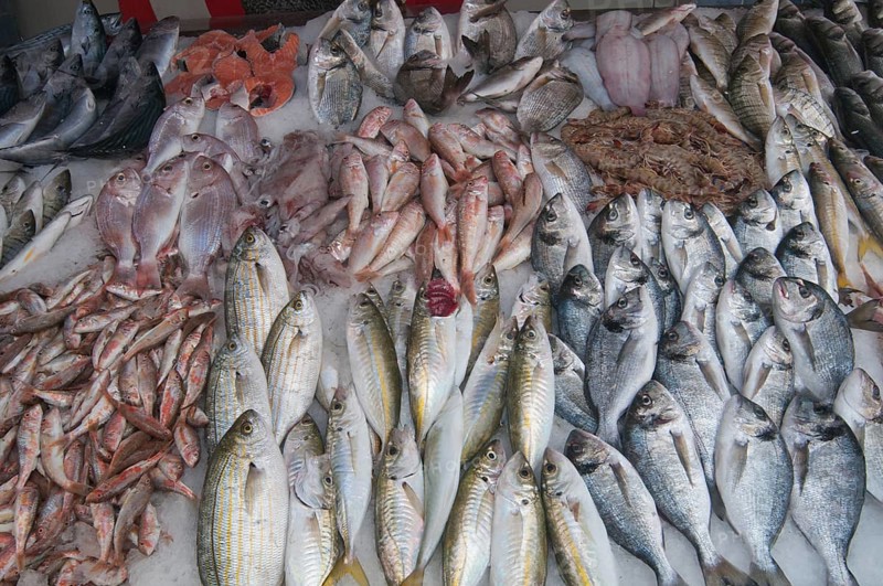 Fish for sale at the weekly market