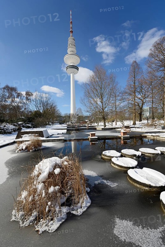 Frozen ponds in "Planten un Blomen" park