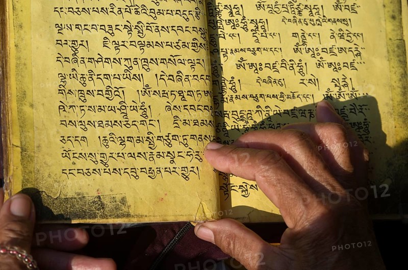 Tibetean monk reading the holy scriptures in Tibetan language