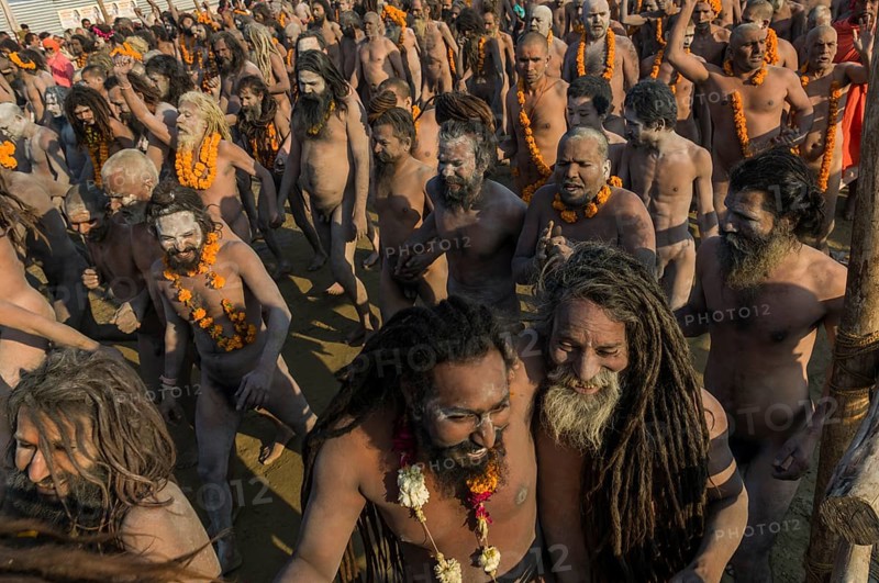 Crowds of naked Naga sadhus