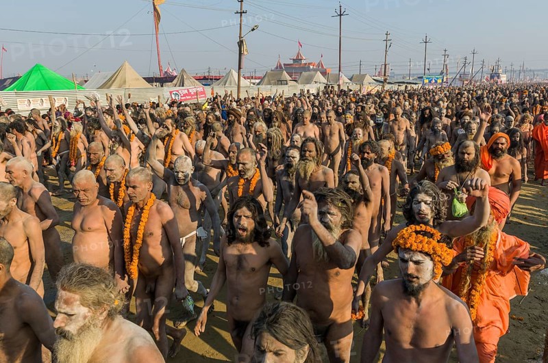 Crowds of naked Naga sadhus