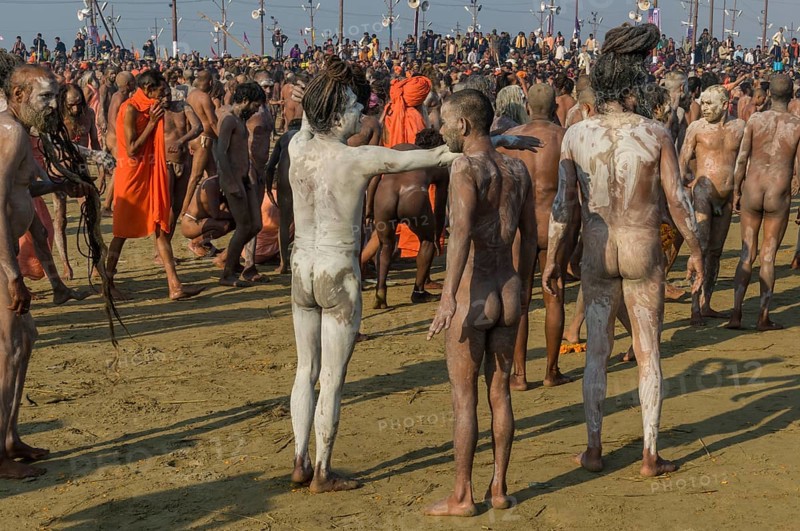 Naked Naga sadhus