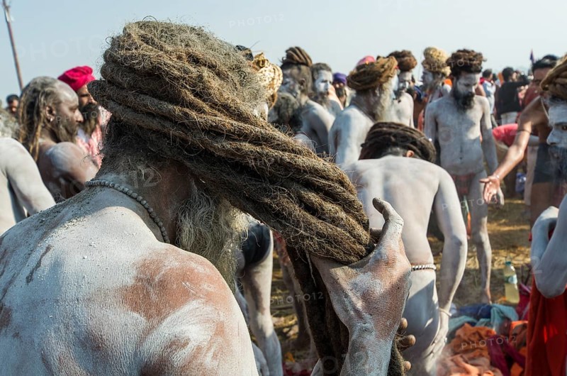 Naga sadhus