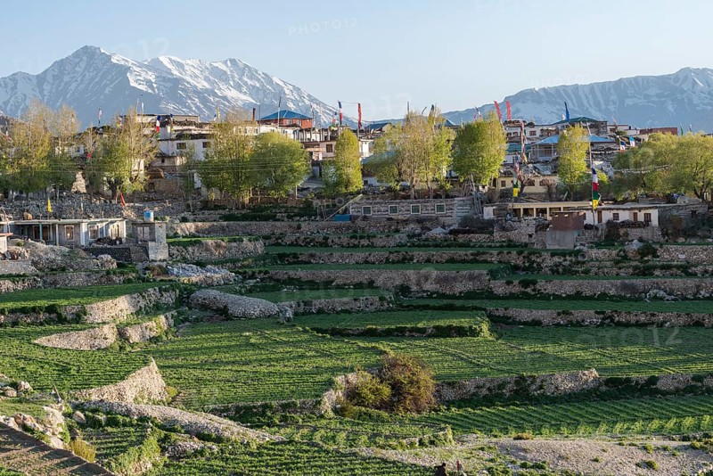 The village of Nako surrounded by green fields and snow covered mountains
