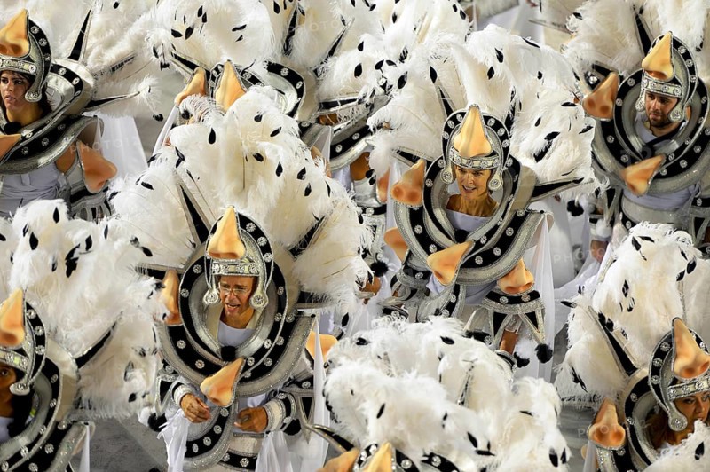 Parade of the Academicos do Salgueiro samba school during the Carnival in Rio de Janeiro 2013 celebrations