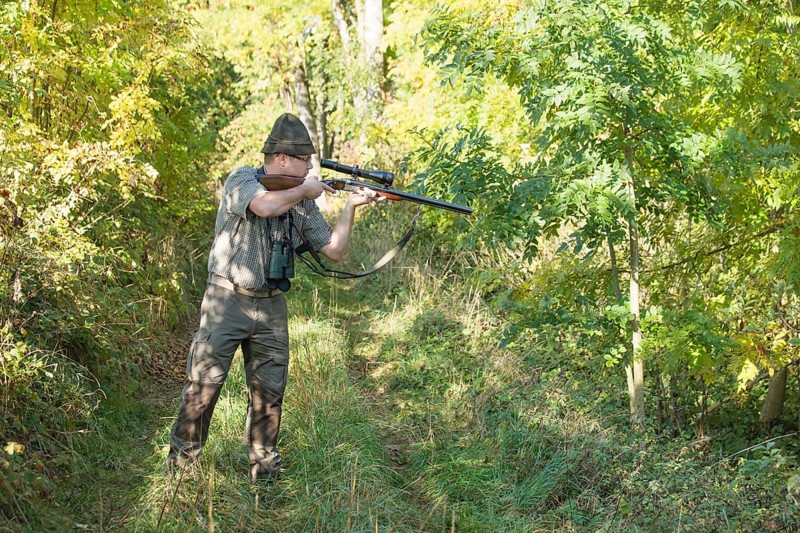 Hunter waiting for game with weapon at the ready