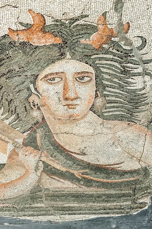 Thalassa mosaic