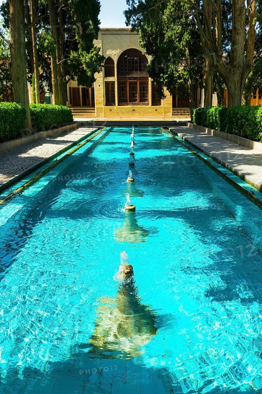 Fin Garden