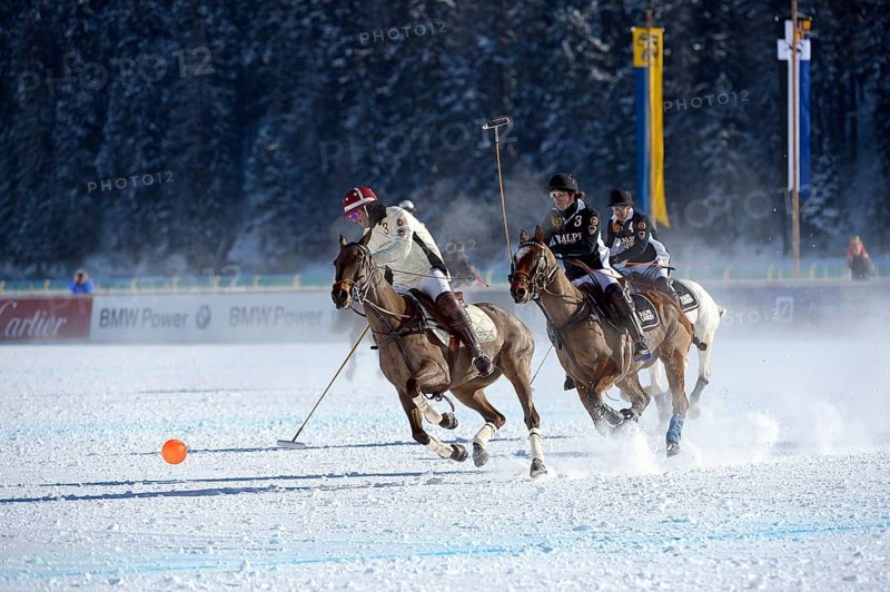 Polo tournament